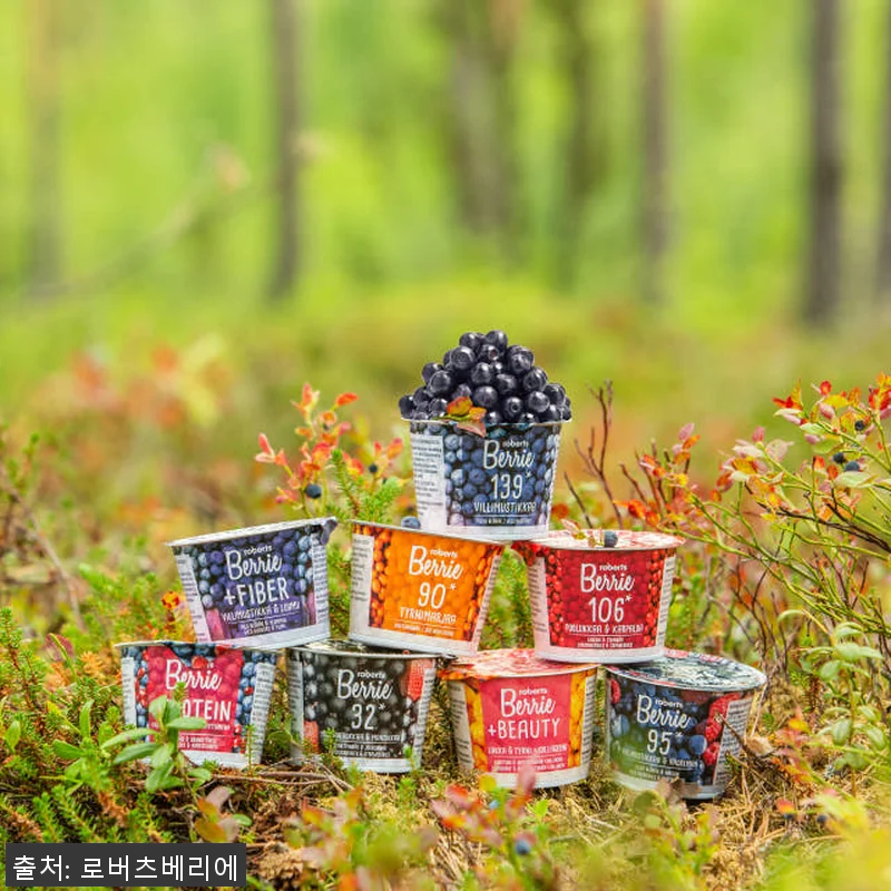 로버츠 베리에 야생 빌베리 3L 디스 관련 이미지 2