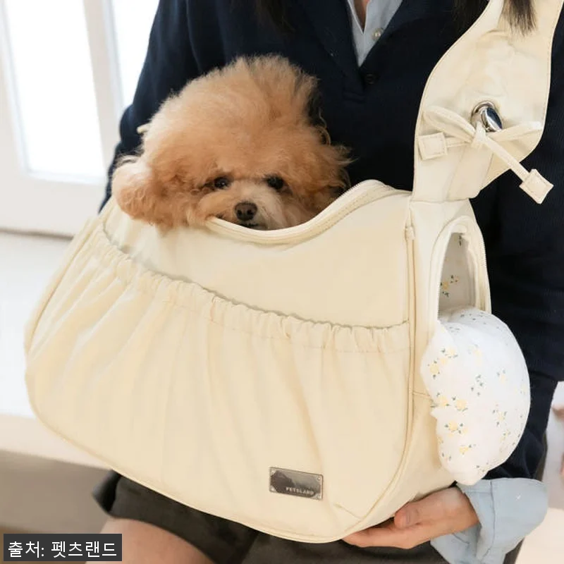 강아지 슬링백 이동가방 기내용 애견 관련 이미지 3