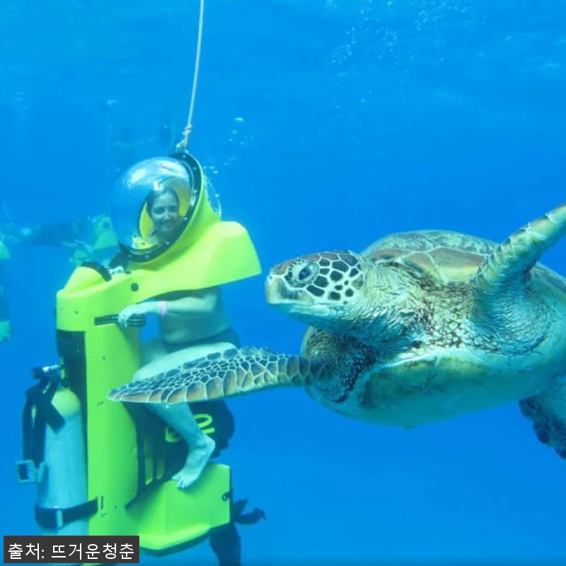 미국 하와이 오아후 스노클링 & 크루 관련 이미지 3
