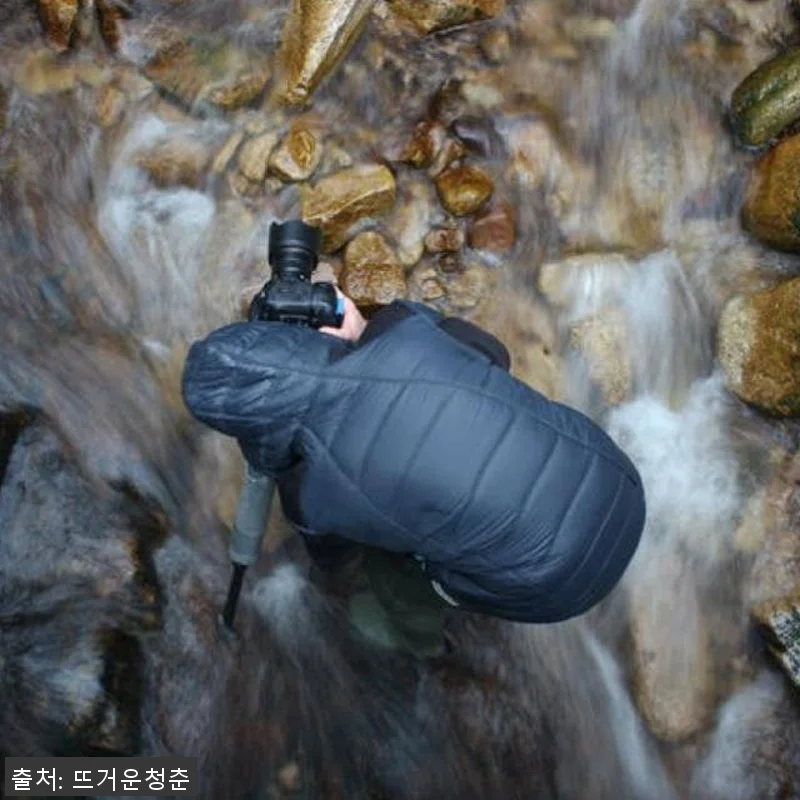 독일 뮌헨 검은 숲 프라이빗 하이킹 관련 이미지 3