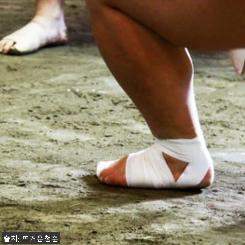 일본 도쿄 스모 훈련 참관 후기 &ndash; 관련 이미지 3