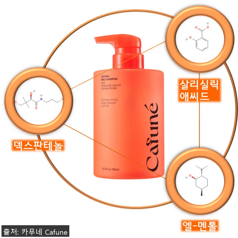 카푸네 헤어케어&바디케어 샴푸+바디워 관련 이미지 3