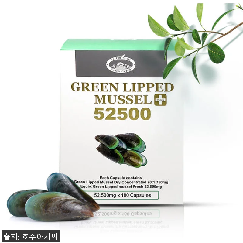 네이쳐스탑 뉴질랜드 호주 초록홍합 5 관련 이미지 3