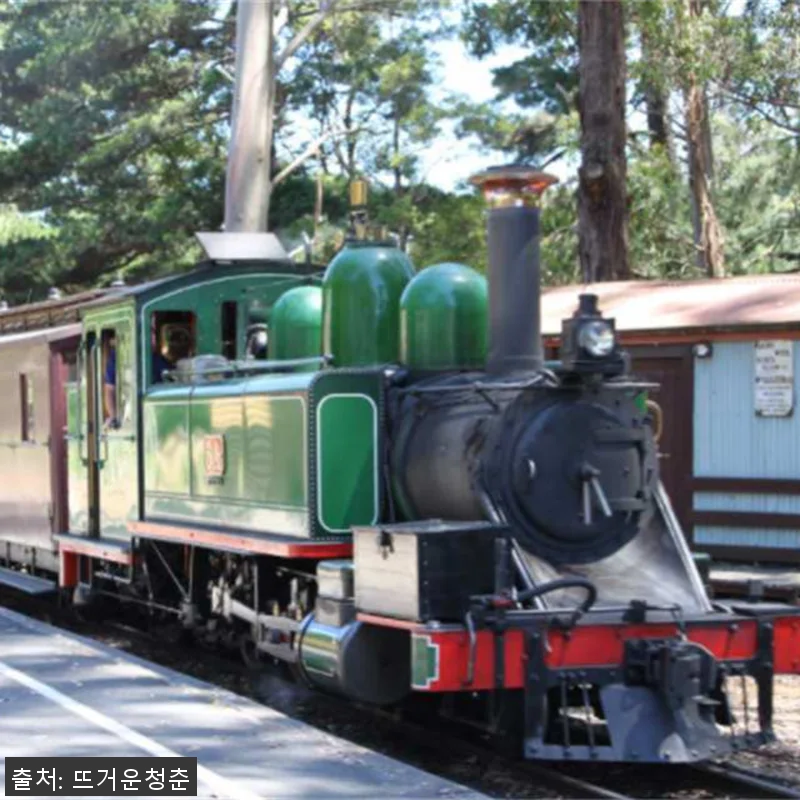 호주 멜버른 퍼핑빌리 & 모닝턴 페닌 관련 이미지 3