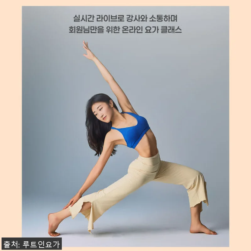 루트인 요가 6개월 수강권 직접 사용 관련 이미지 3
