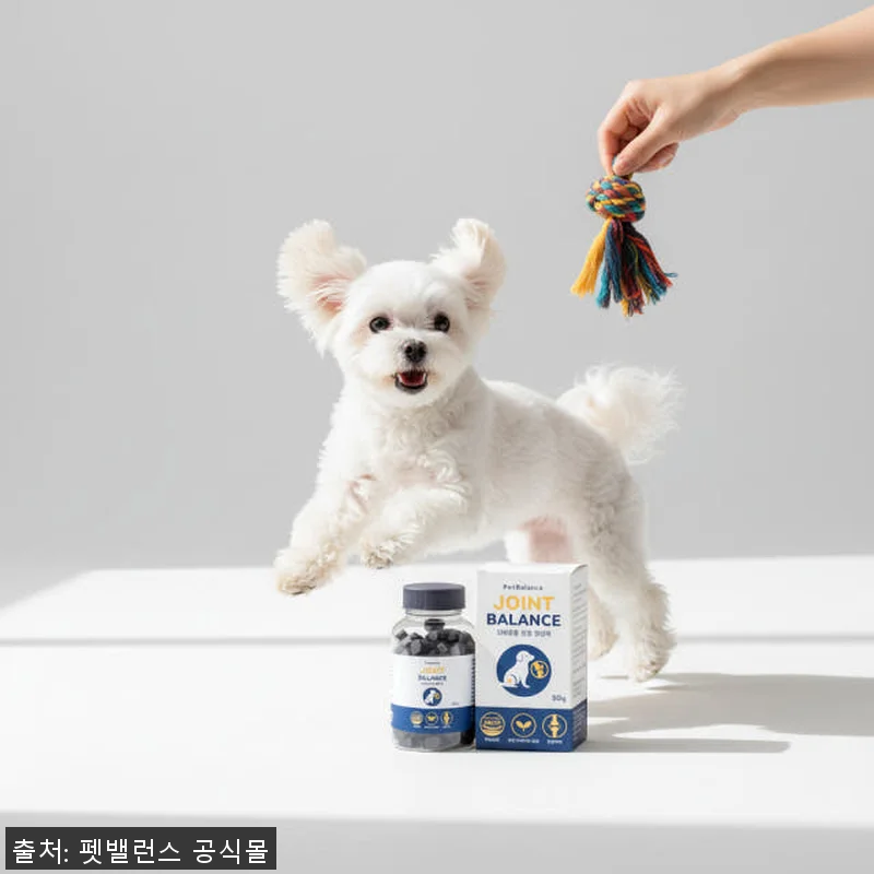강아지 관절 슬개골 영양제 펫밸런스 관련 이미지 3