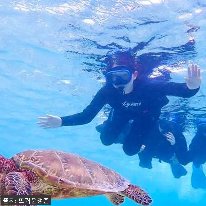 일본 미야코지마 일일 어드벤처 체험 관련 이미지 3