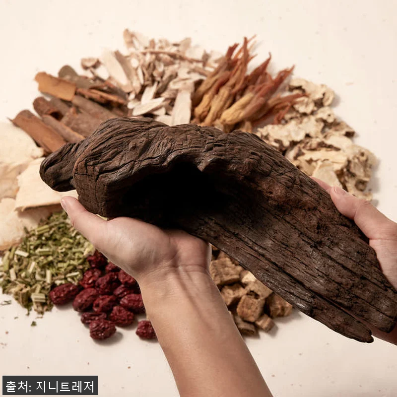 김오곤원장의 흑염소 진액 침향 30포 관련 이미지 3