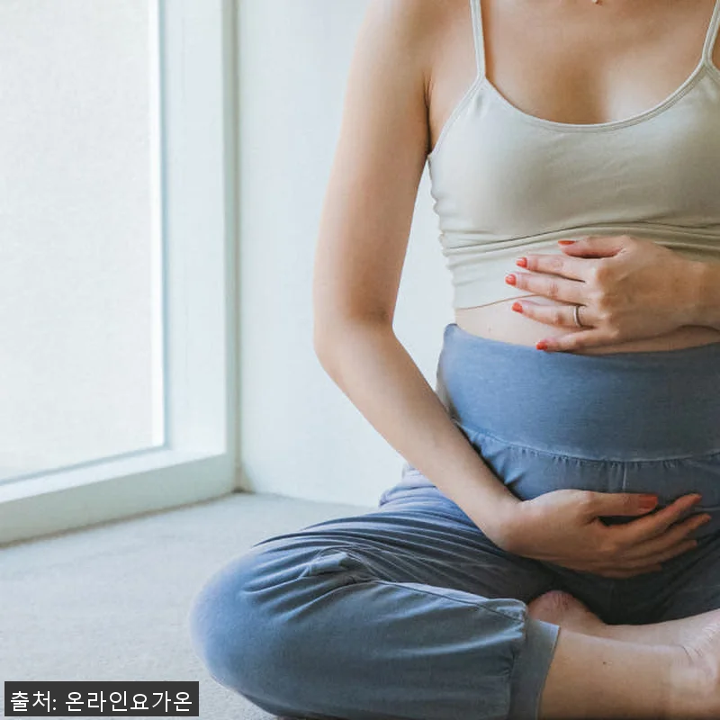온라인요가온 - YOGAON 임산부 관련 이미지 3