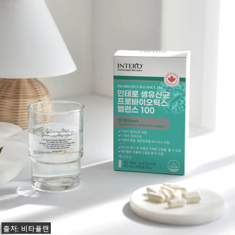 애시도필러스 람노서스 플란타럼 유산균 관련 이미지 3