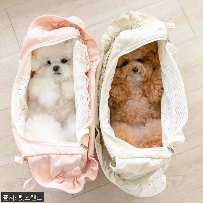 강아지 슬링백 이동가방 기내용 애견 관련 이미지 4