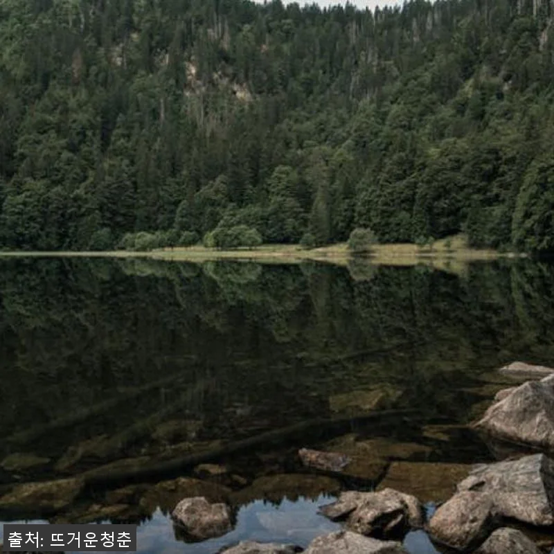 독일 뮌헨 검은 숲 프라이빗 하이킹 관련 이미지 4