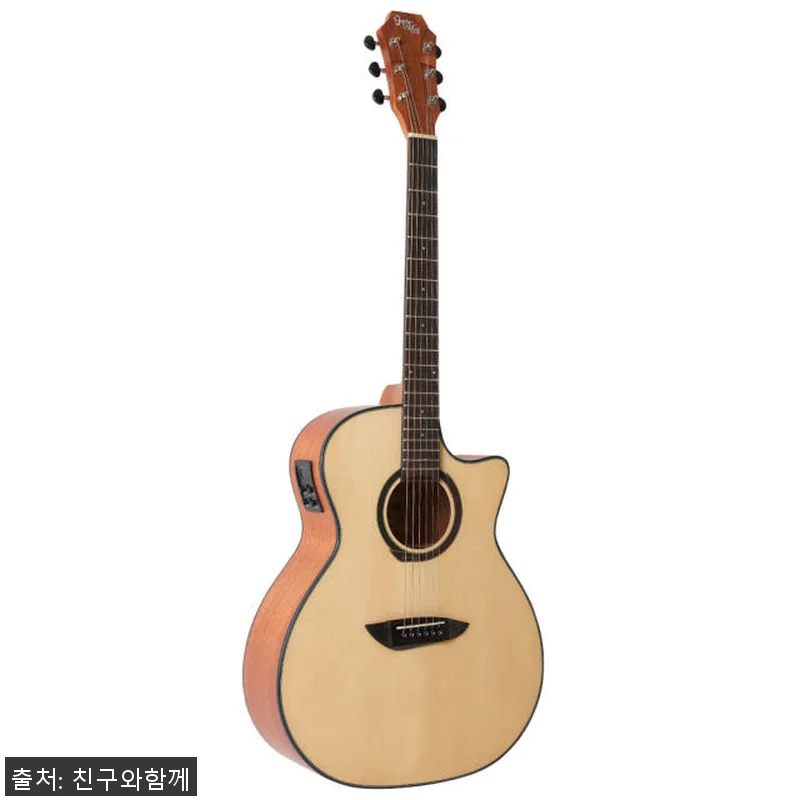 고퍼우드 G130CE/ GA바디/ 픽 관련 이미지 4