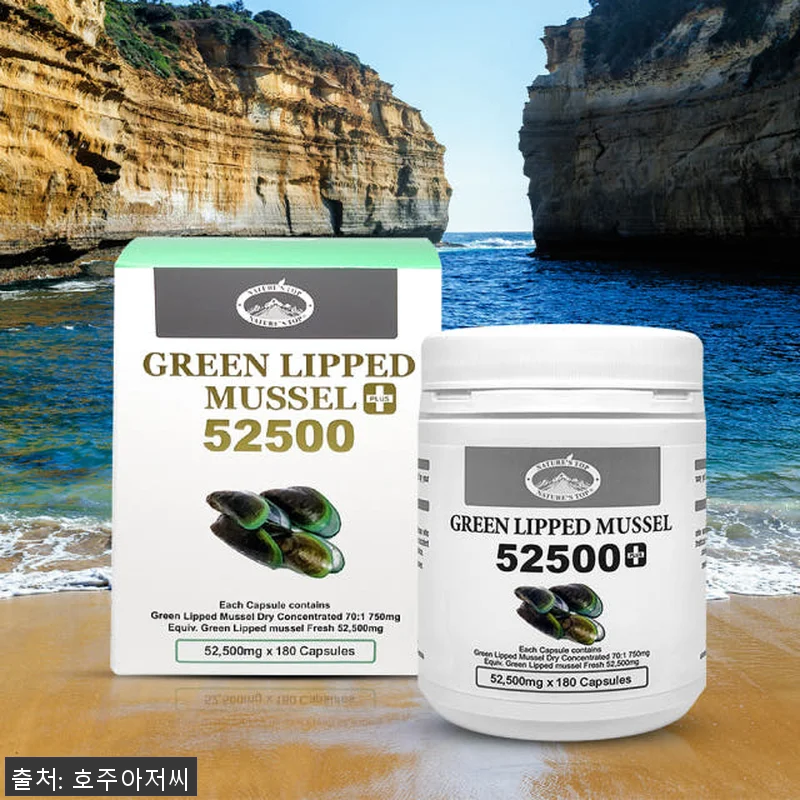 네이쳐스탑 뉴질랜드 호주 초록홍합 5 관련 이미지 4