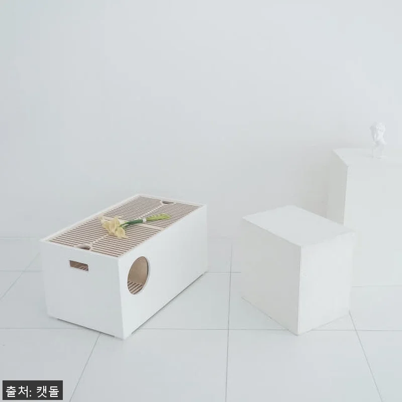 캣돌 피치 part2 고양이 대형 원 관련 이미지 4