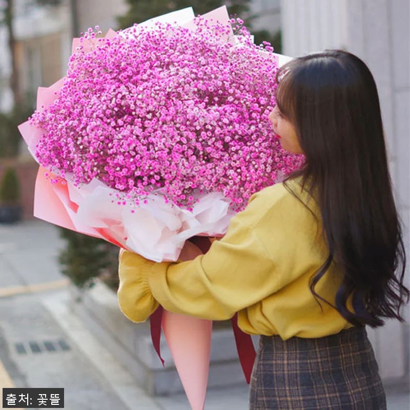 핑크 안개꽃다발 대형꽃다발 사용후기: 관련 이미지 4
