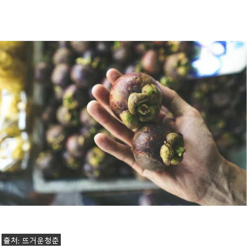 방콕 클롱 토이 시장 & 방 크라차오 관련 이미지 4