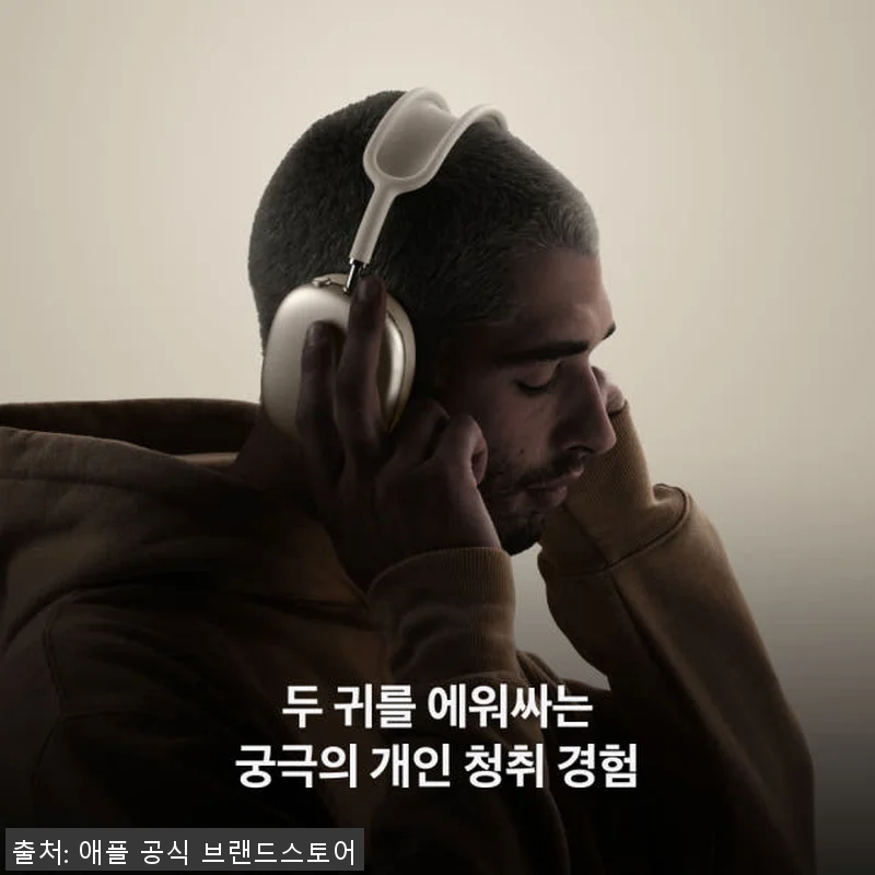 애플 에어팟 맥스 USB-C 블루투스 관련 이미지 4