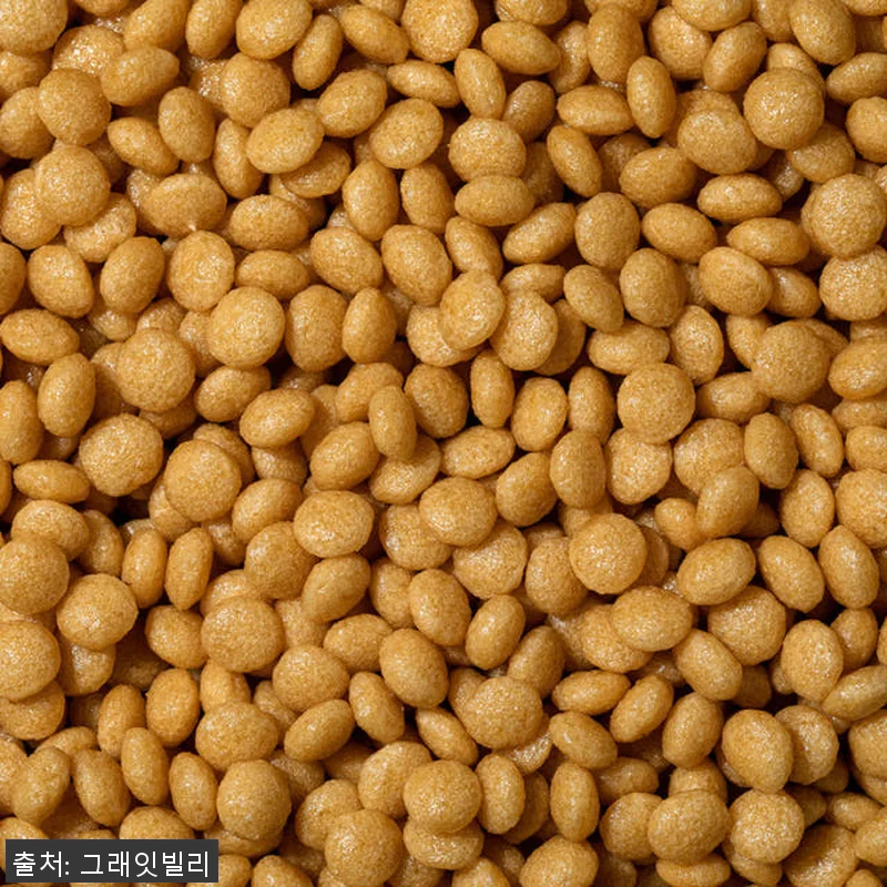 그래잇빌리 케어 1kg 패키지 강아지 관련 이미지 4