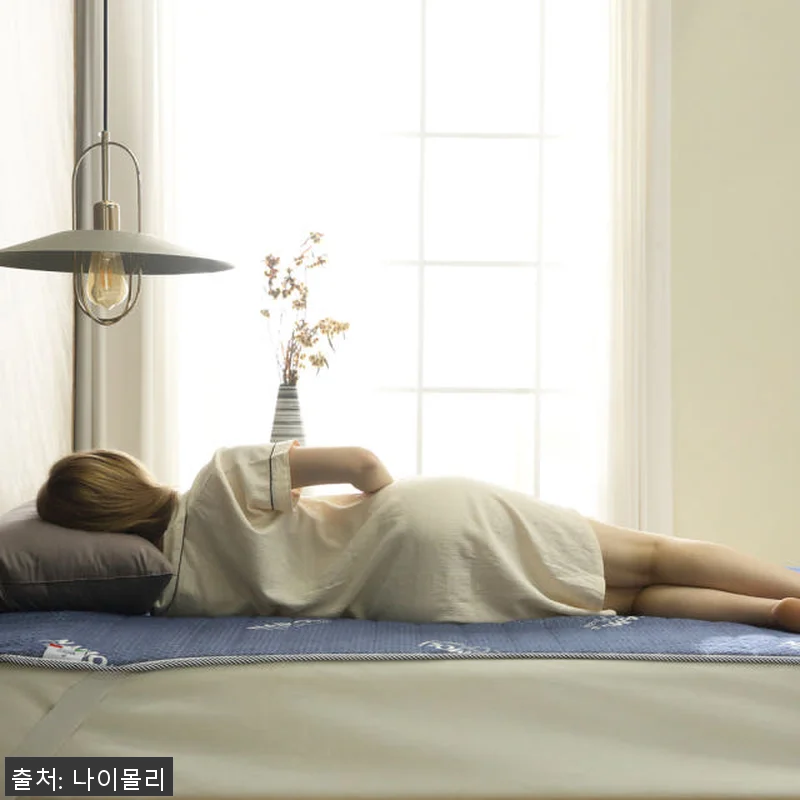 나이몰리 탄소매트 카본매트 전자파없는 관련 이미지 4