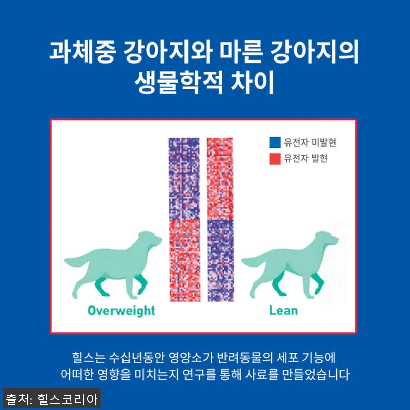 힐스 강아지사료 퍼펙트 웨이트&조인트 관련 이미지 5