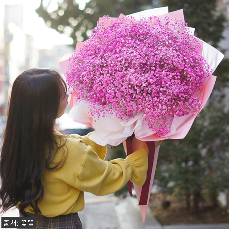 핑크 안개꽃다발 대형꽃다발 사용후기: 관련 이미지 5