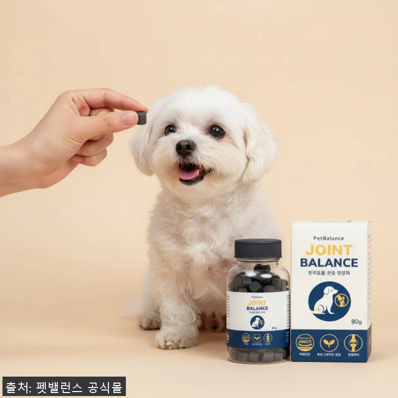 강아지 관절 슬개골 영양제 펫밸런스 관련 이미지 5