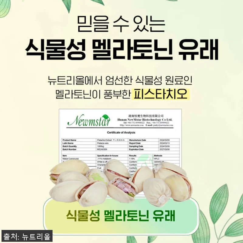 식물성 멜라토닌 멜라코어 500mg 관련 이미지 5
