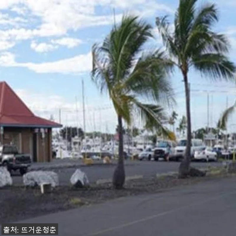 미국 하와이 빅아일랜드 야간 스노클링 관련 이미지 5