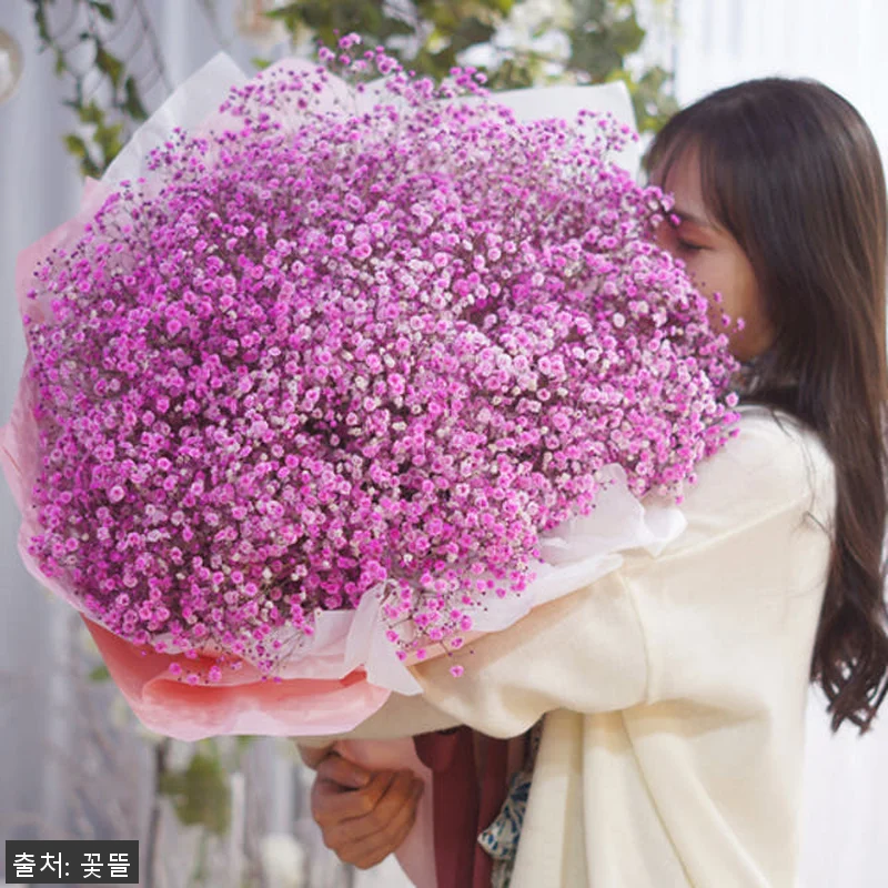 핑크 안개꽃다발 대형꽃다발 사용후기: 관련 이미지 6