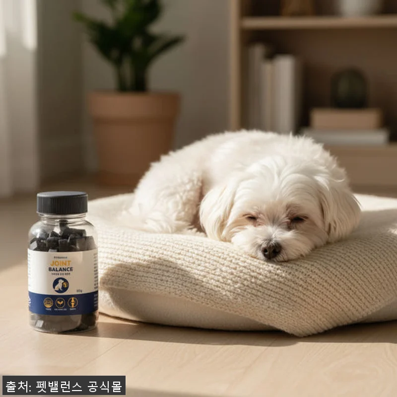 강아지 관절 슬개골 영양제 펫밸런스 관련 이미지 6