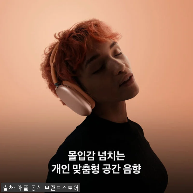 애플 에어팟 맥스 USB-C 블루투스 관련 이미지 6