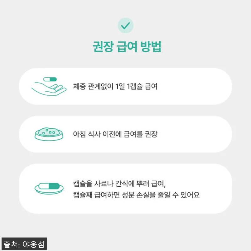 야옹섬 고양이 영양제 신장 유산균 프 관련 이미지 7