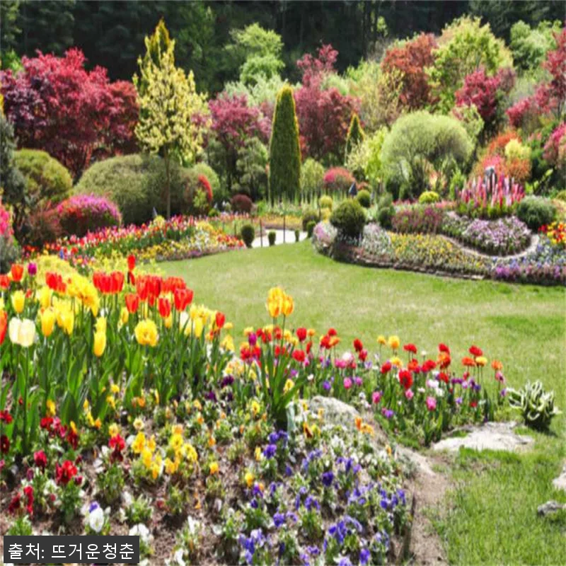 한국 강원도 프라이빗 전세투어 체험 관련 이미지 7