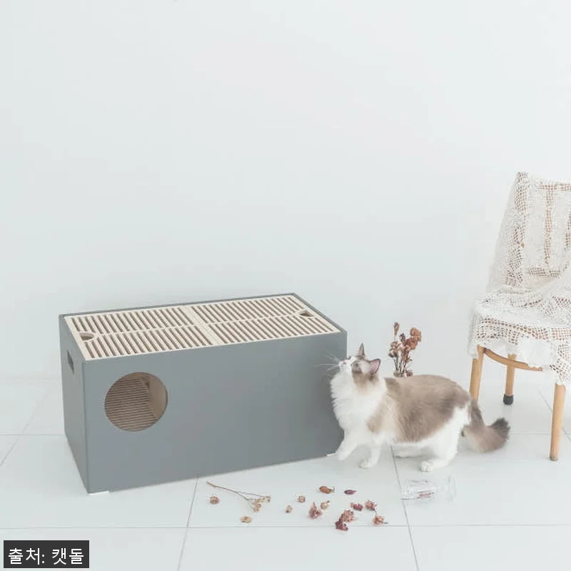 캣돌 피치 part2 고양이 대형 원 관련 이미지 7