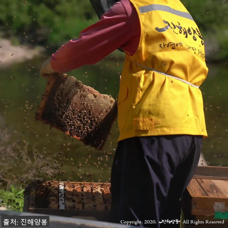 진해양봉 프리미엄등급 벌꿀 2.4kg 관련 이미지 7