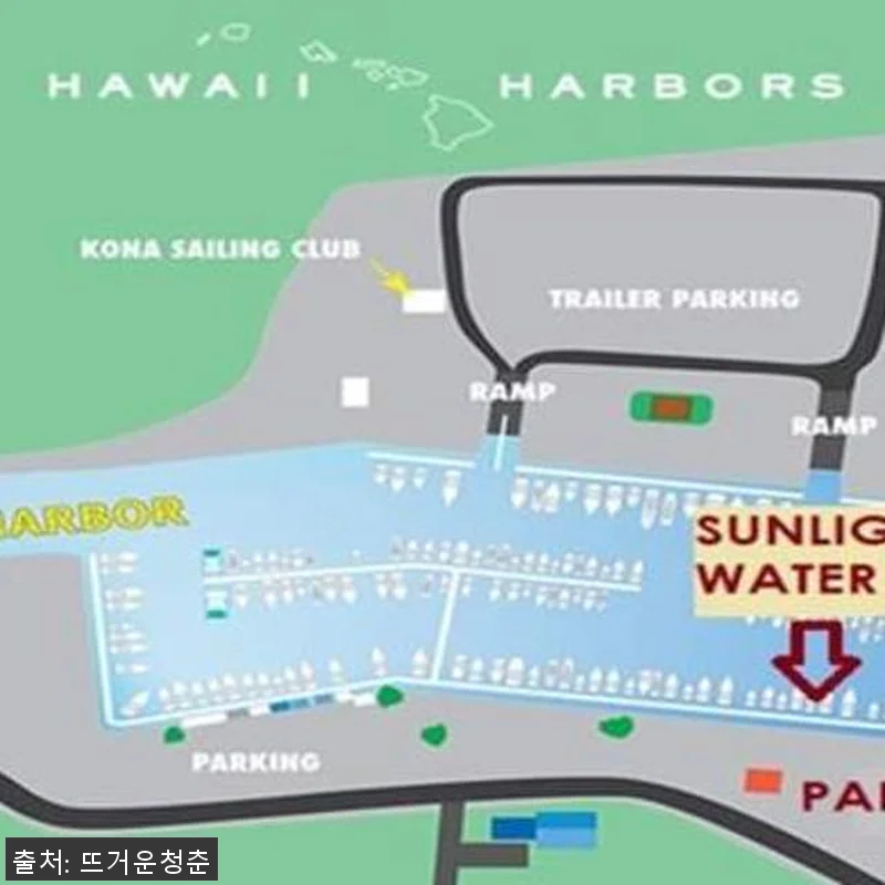 미국 하와이 빅아일랜드 야간 스노클링 관련 이미지 7