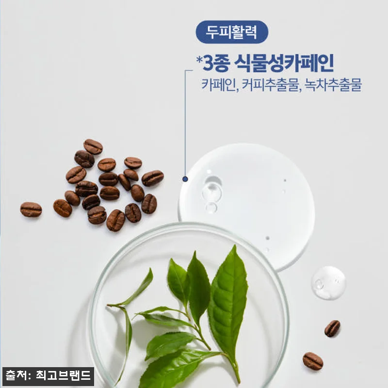 New 피토페시아 샴푸 500ml 사 관련 이미지 7