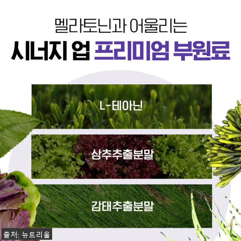 식물성 멜라토닌 멜라코어 500mg 관련 이미지 8