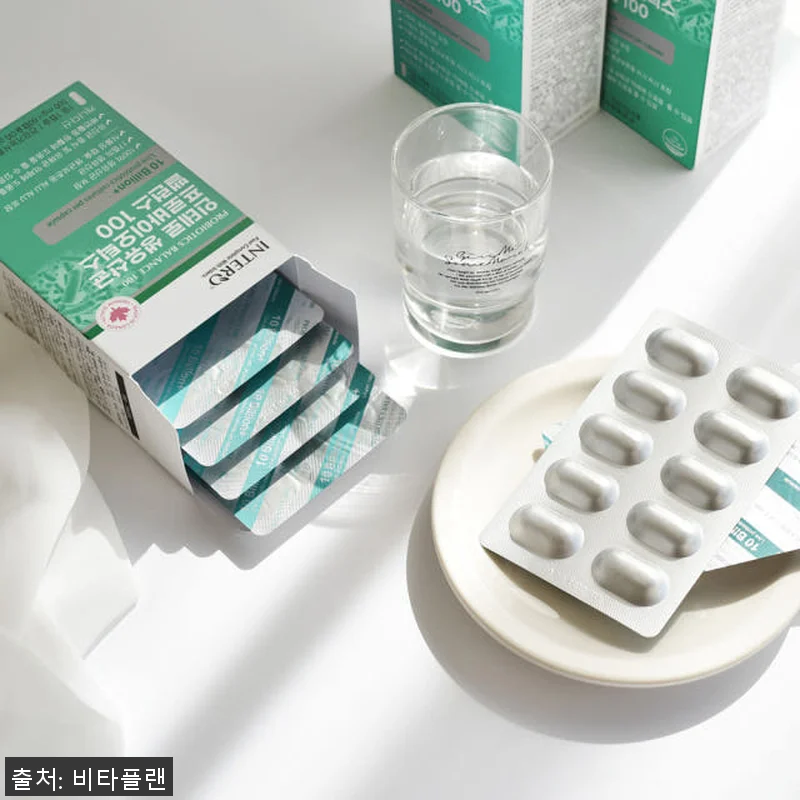 애시도필러스 람노서스 플란타럼 유산균 관련 이미지 8