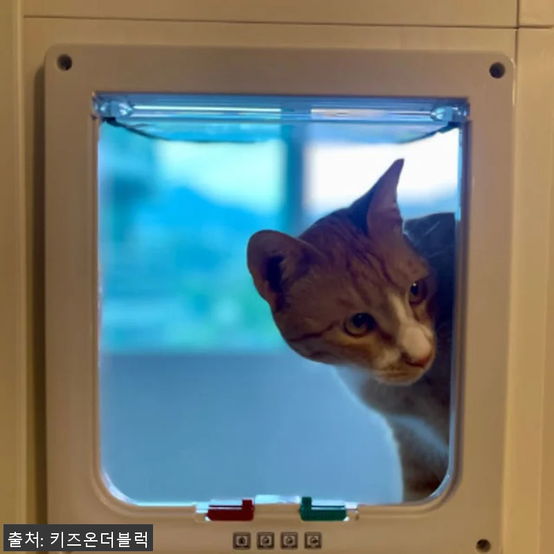 키즈온더블럭 펫도어 견문 사용 후기 관련 이미지 9