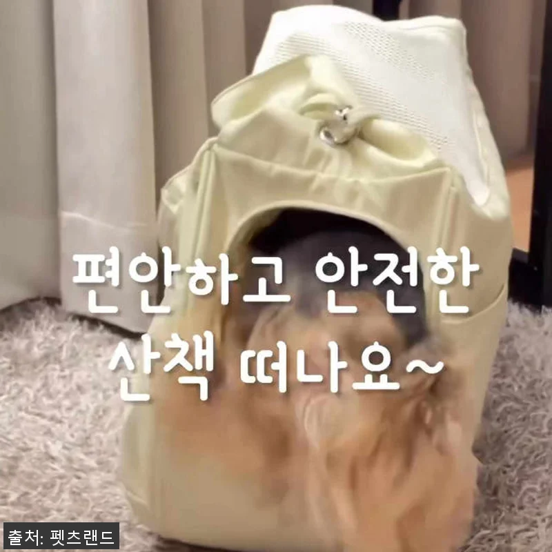 강아지 슬링백 이동가방 기내용 애견 관련 이미지 10