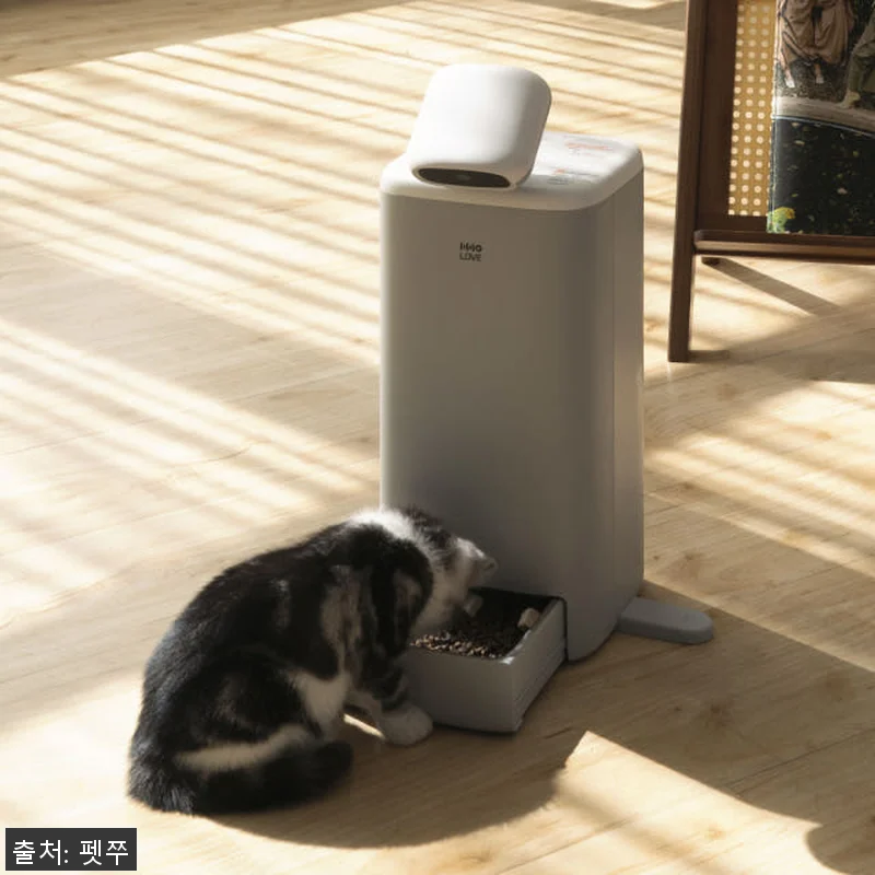펫쭈 강아지 고양이 AI 자동급식기 관련 이미지 10