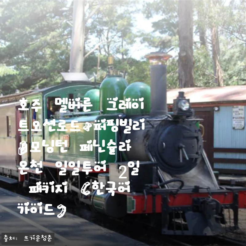 호주 멜버른 그레이트오션로드+퍼핑빌리&모닝턴 페닌슐라 온천 2일 패키지 사용후기