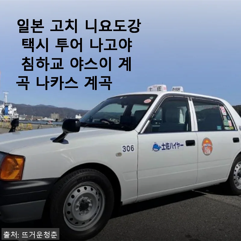 일본 고치 니요도강 택시 투어 나고야 침하교 야스이 계곡 나카스 계곡 사용후기