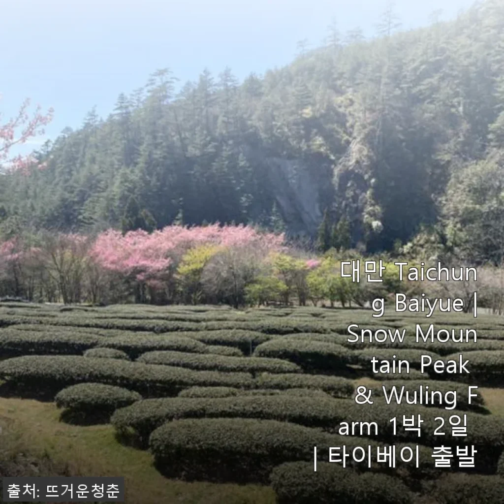 대만 Taichung Baiyue Snow Mountain Peak & Wuling Farm 1박 2일 여행 후기