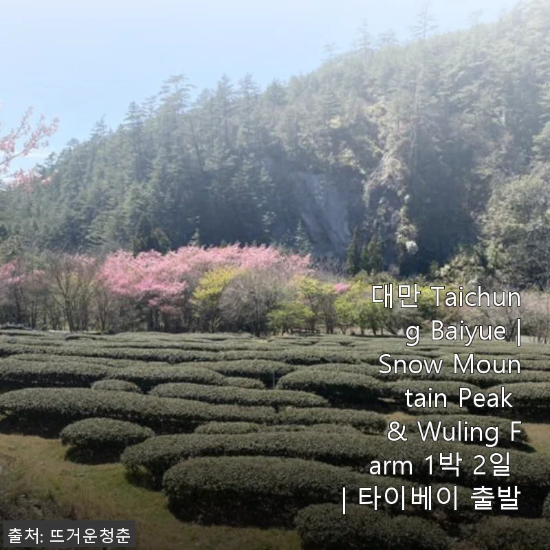 대만 Taichung Baiyue Snow Mountain Peak & Wuling Farm 1박 2일 여행 후기