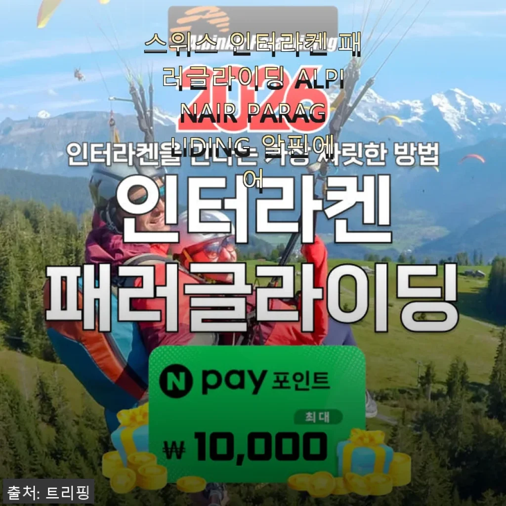 스위스 인터라켄 패러글라이딩 ALPINAIR PARAGLIDING 알핀에어 사용후기