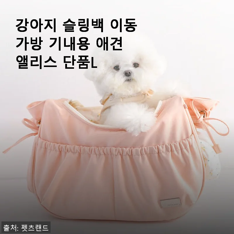 강아지 슬링백 이동가방 기내용 애견 앨리스 단품L 사용후기