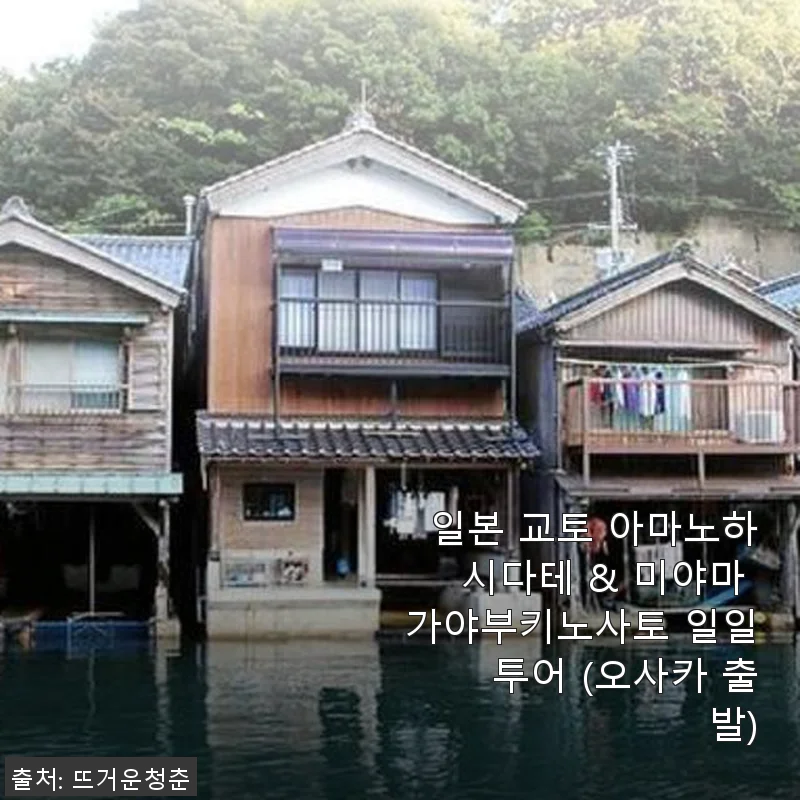 일본 교토 아마노하시다테 & 미야마 가야부키노사토 일일 투어 사용후기